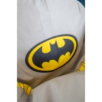 Кресло мешок груша Бэтмен Batman